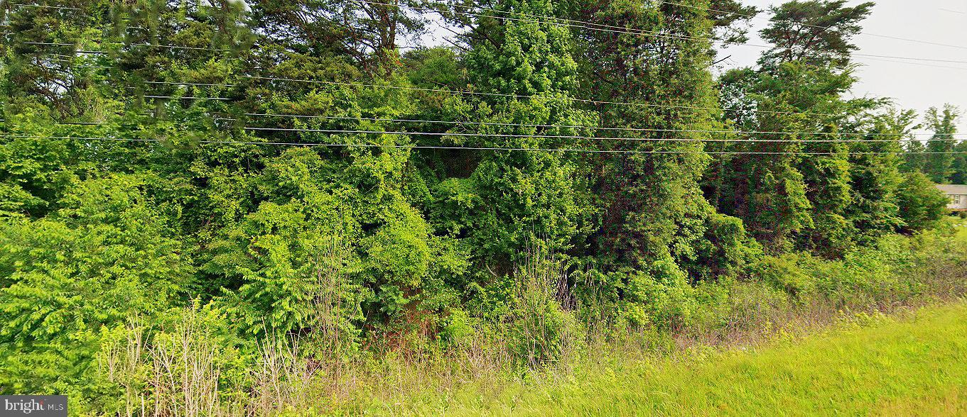 0 Philpott Rd Property Photo