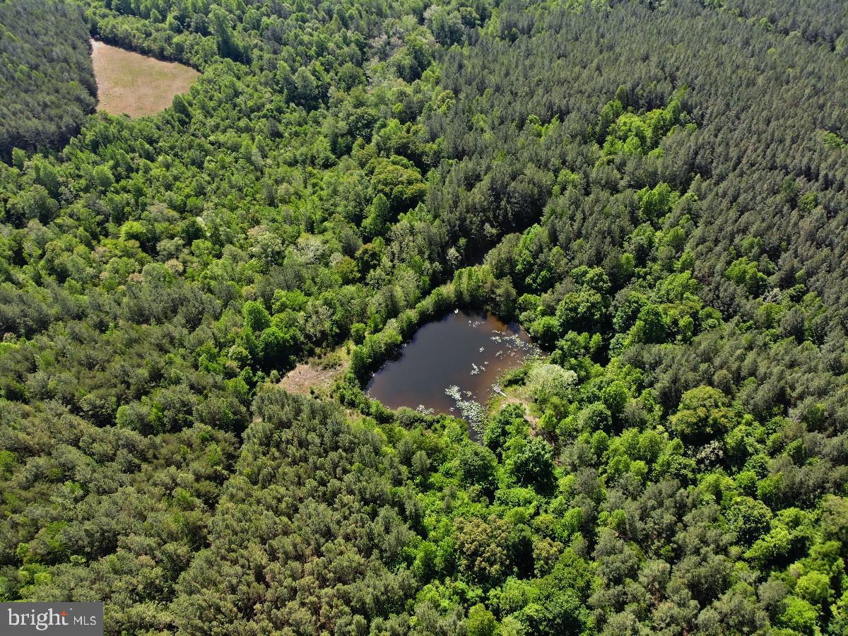 3230 Ridgeway Rd Property Photo 25