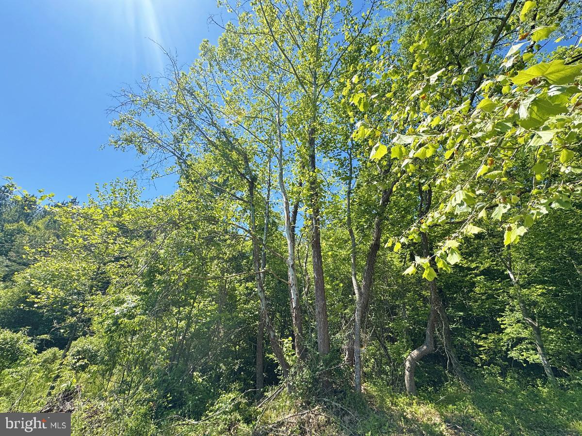 3230 Ridgeway Rd Property Photo 71
