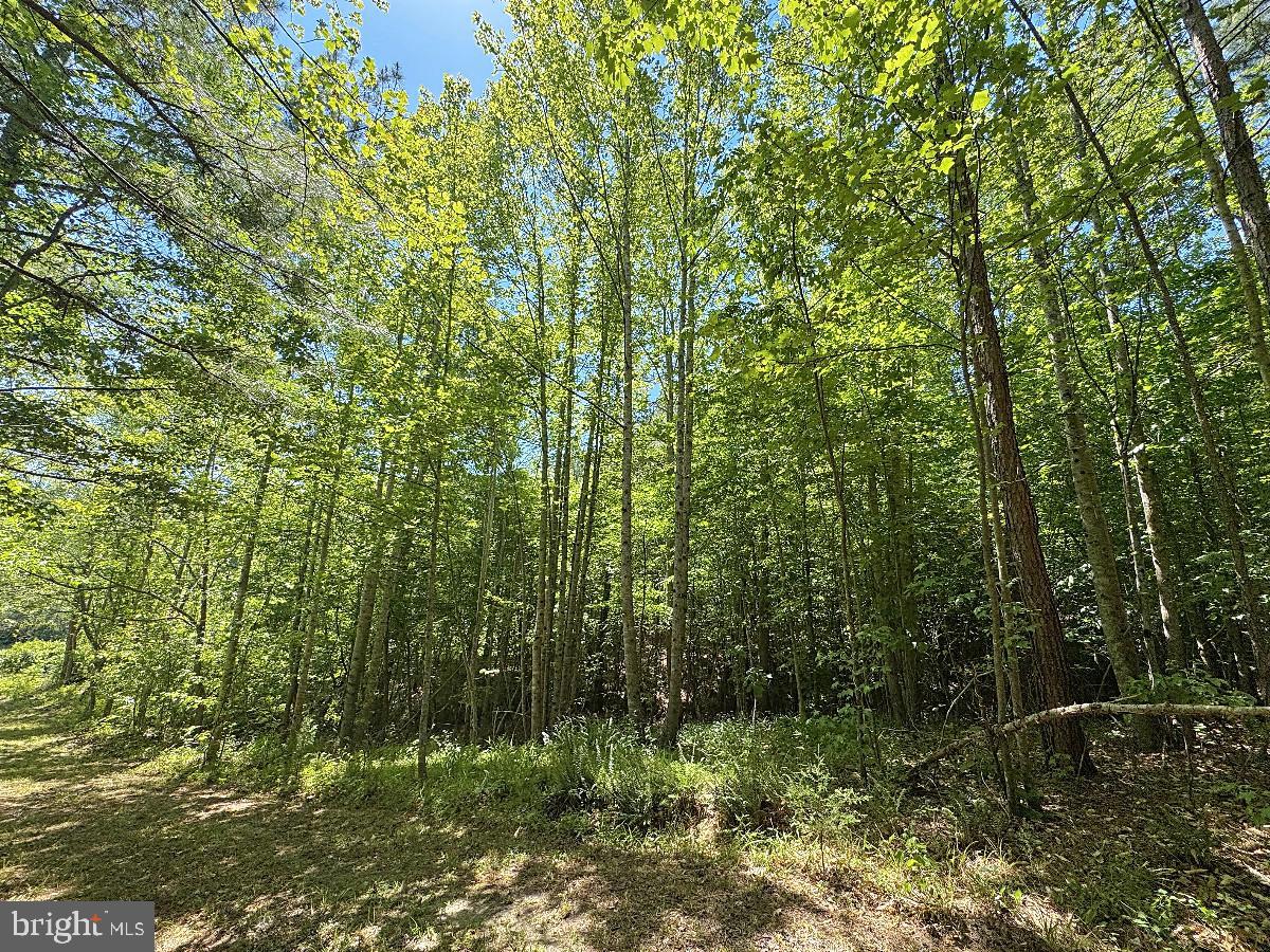 3230 Ridgeway Rd Property Photo 74