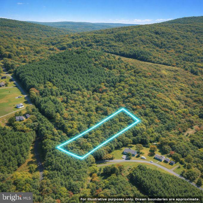 Ball Park Loop Property Photo 2