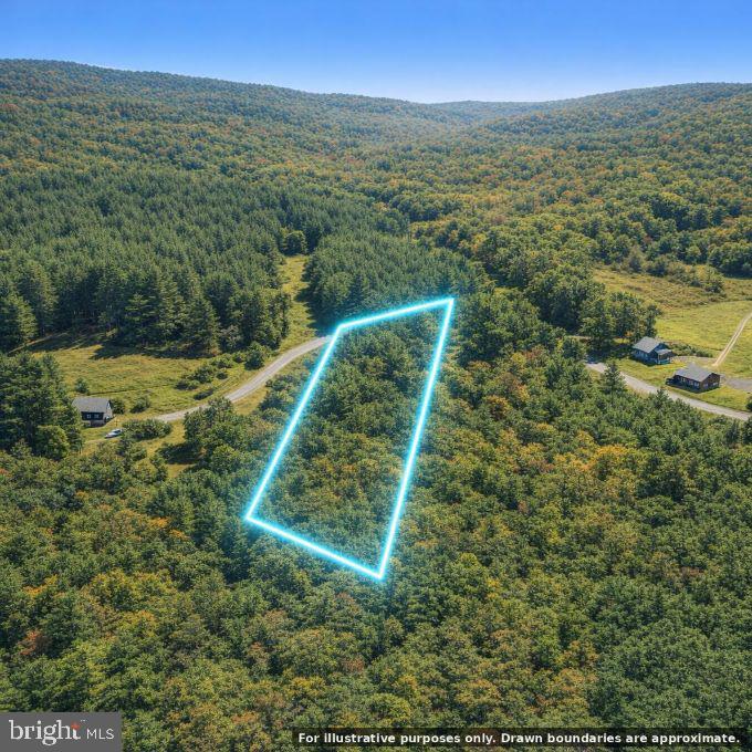 Ball Park Loop Property Photo 4
