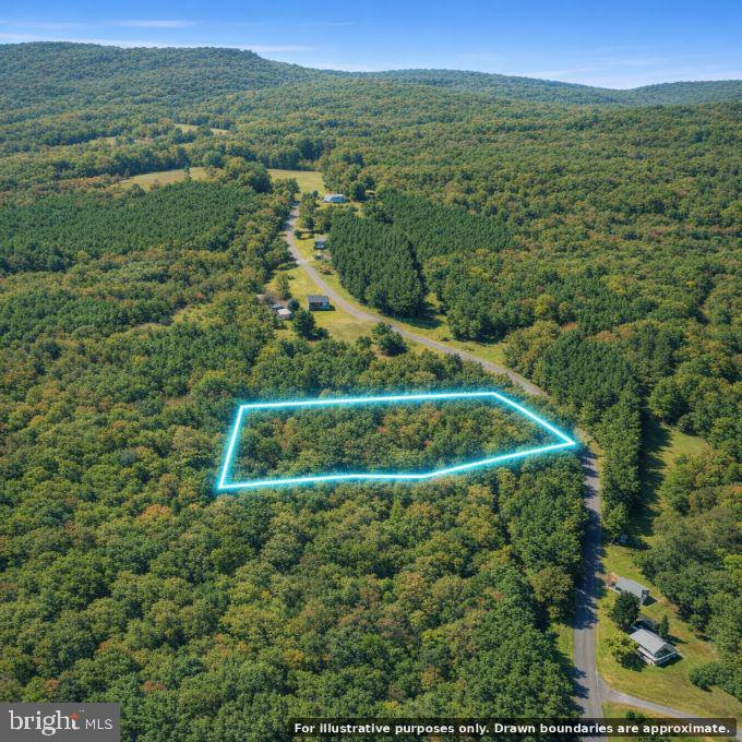 Ball Park Loop Property Photo 5