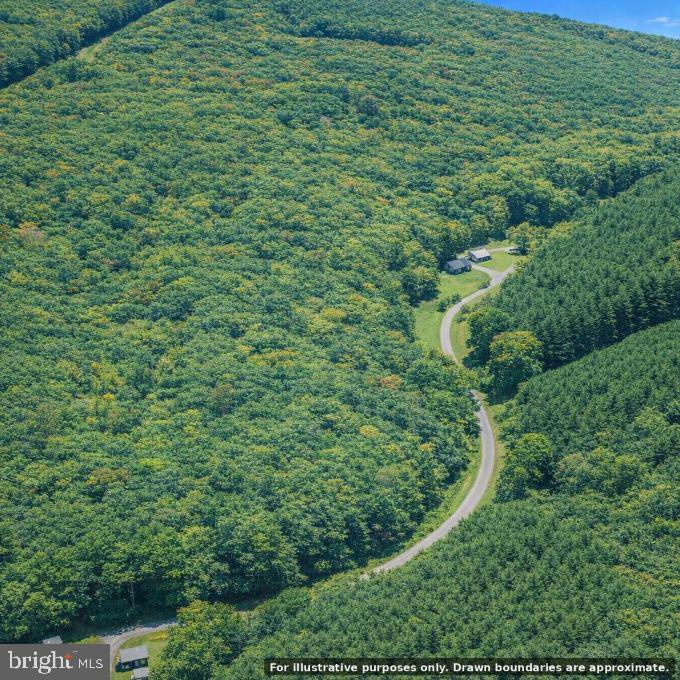 Ball Park Loop Property Photo 6