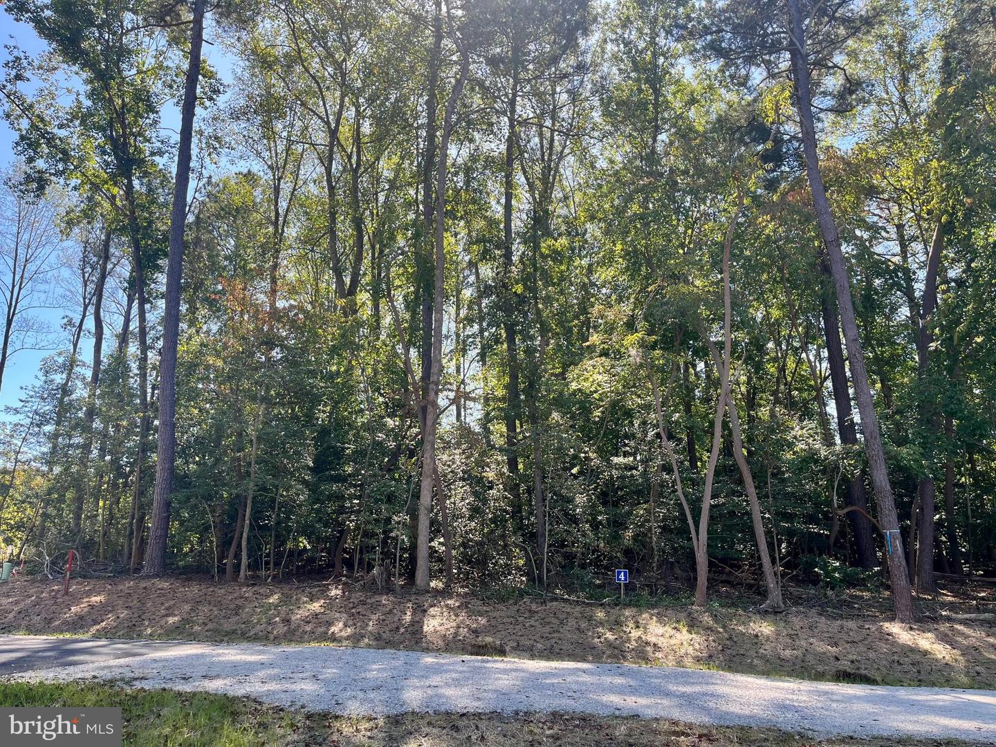 5349 Ridgewood Hills Dr Property Photo 2