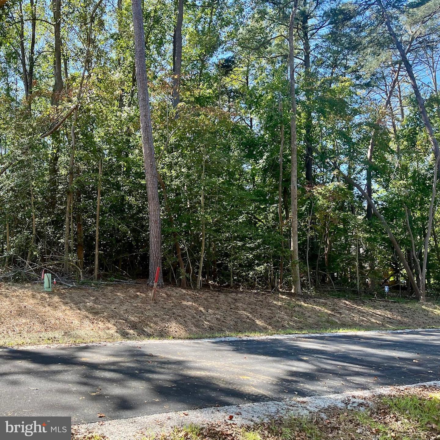 5349 Ridgewood Hills Dr Property Photo 4