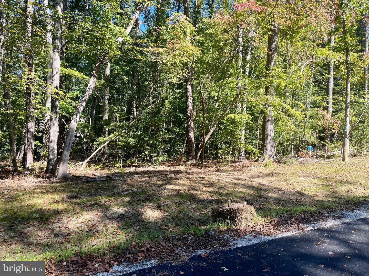 5353 Ridgewood Hills Dr Property Photo 2