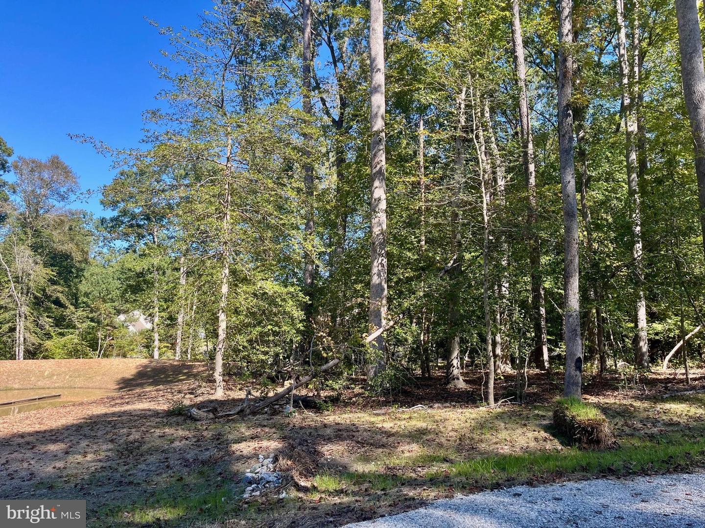 5353 Ridgewood Hills Dr Property Photo 3
