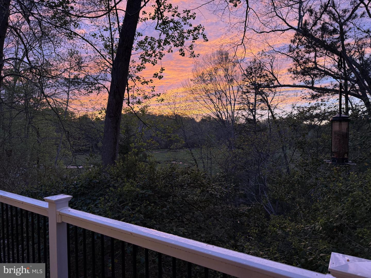 20 The Palisades Property Photo 4