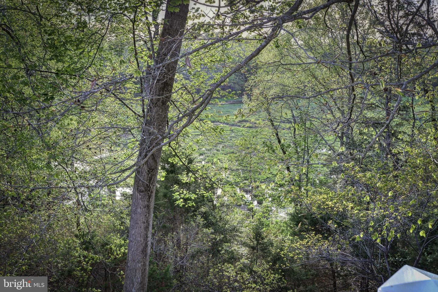 20 The Palisades Property Photo 58