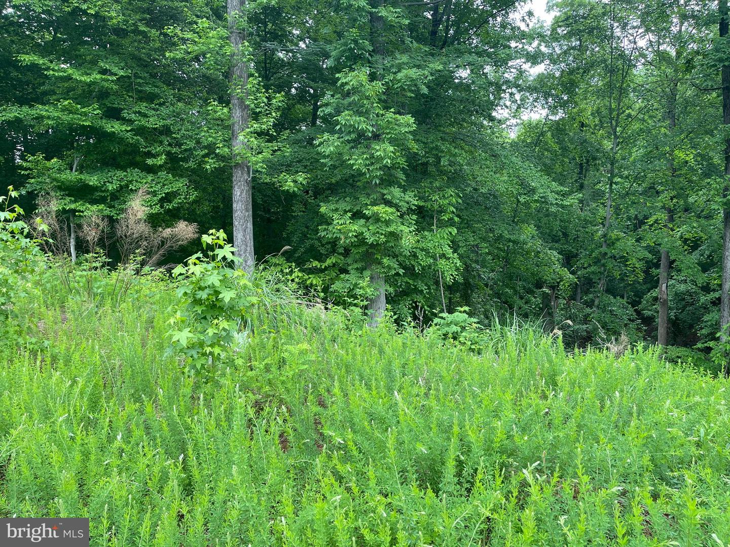 LOT 24 COMPASS CT