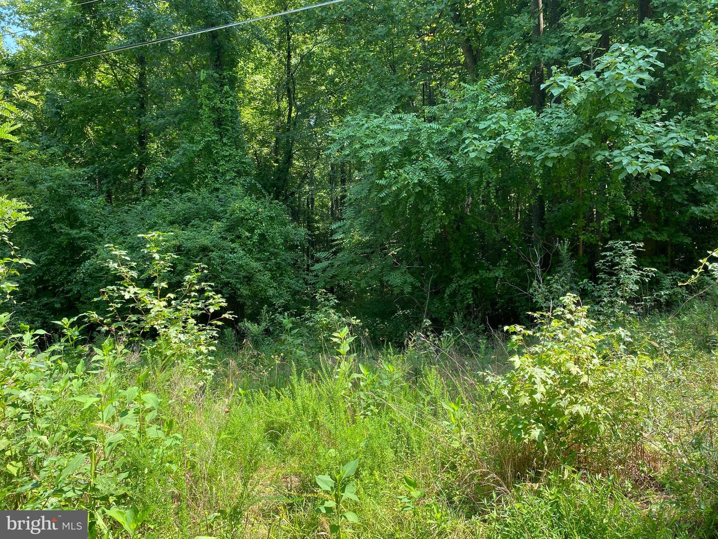 Fairview Dr Property Photo 1