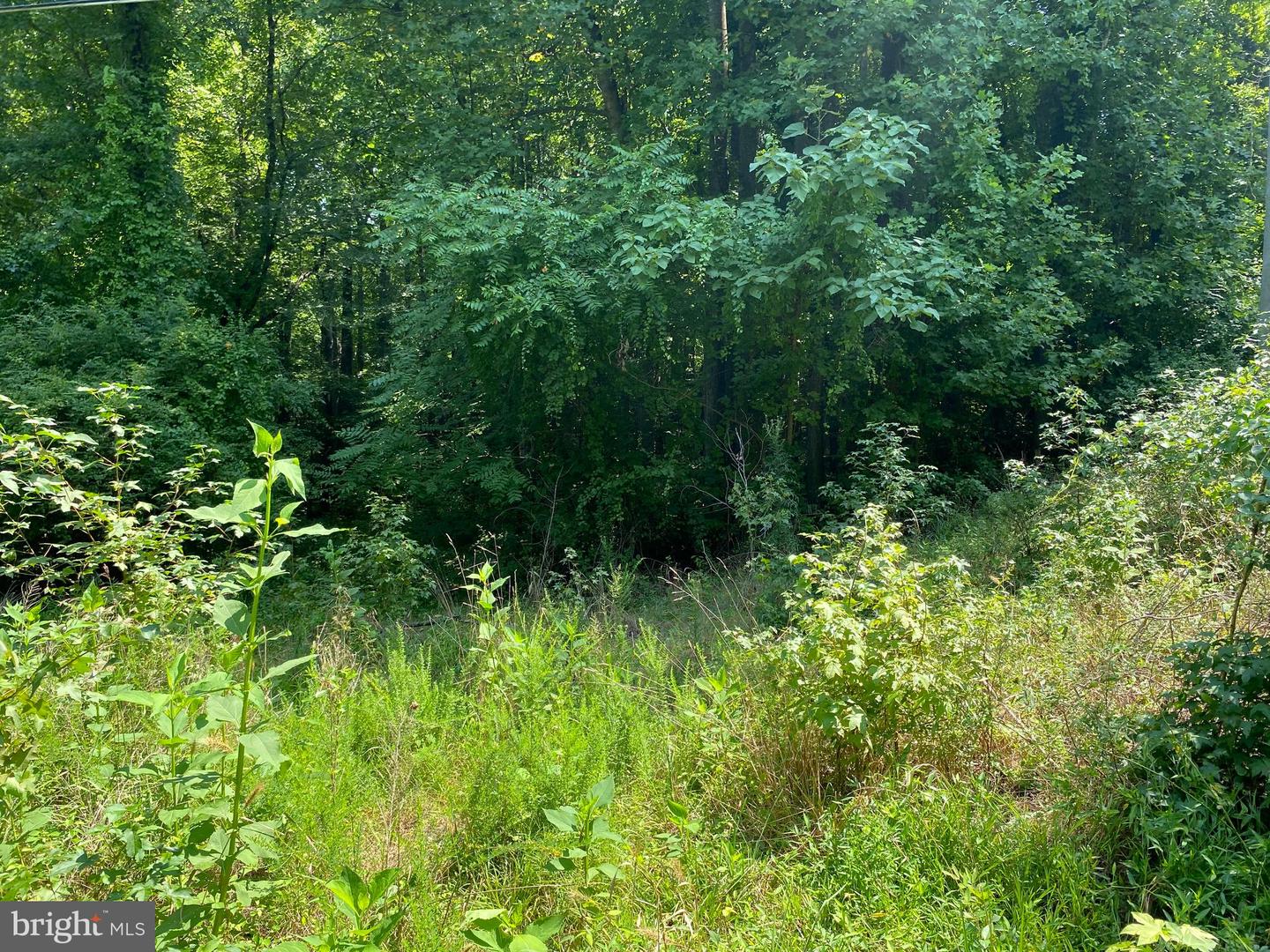Fairview Dr Property Photo 5