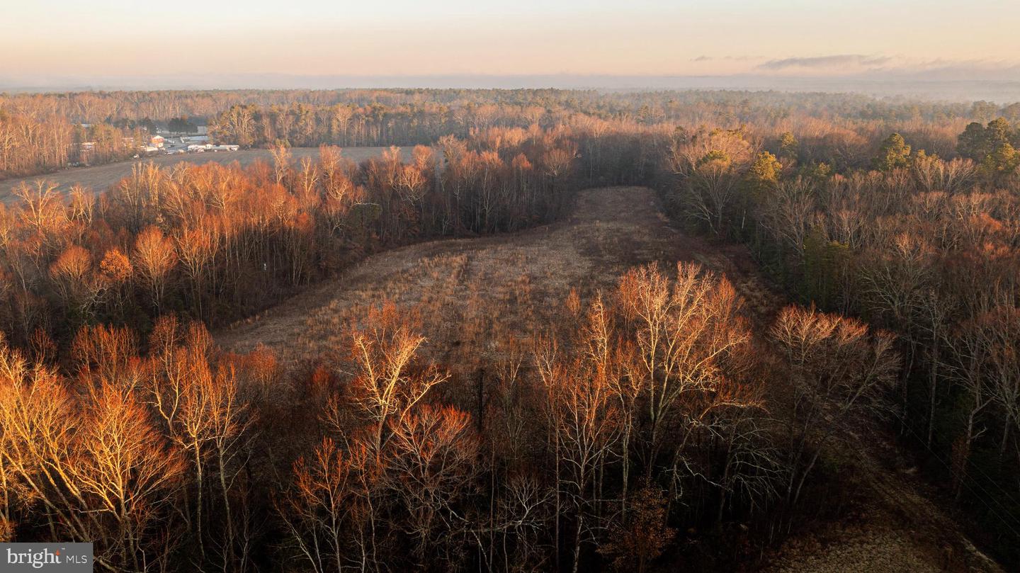 Tbd Stoney Knoll Rd Property Photo 8