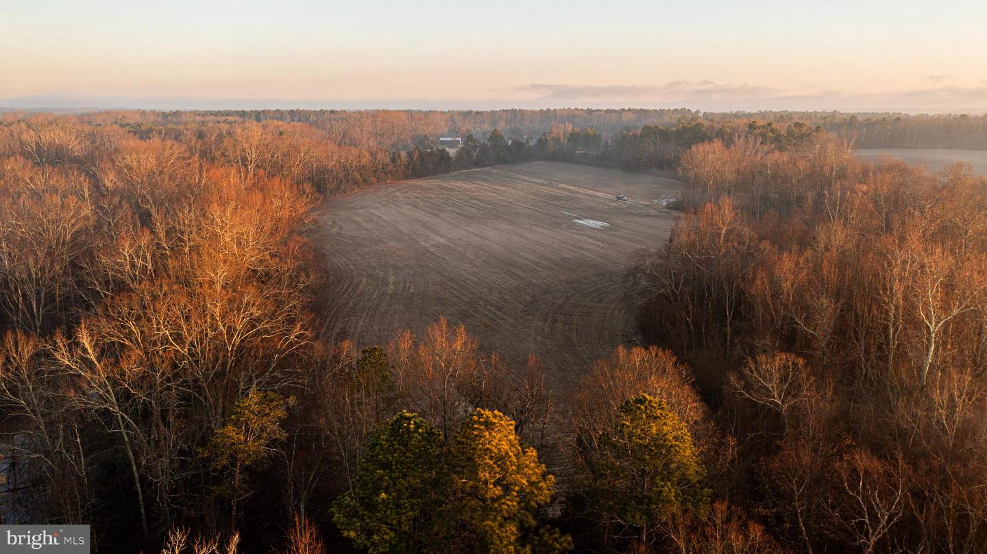 Tbd Stoney Knoll Rd Property Photo 14