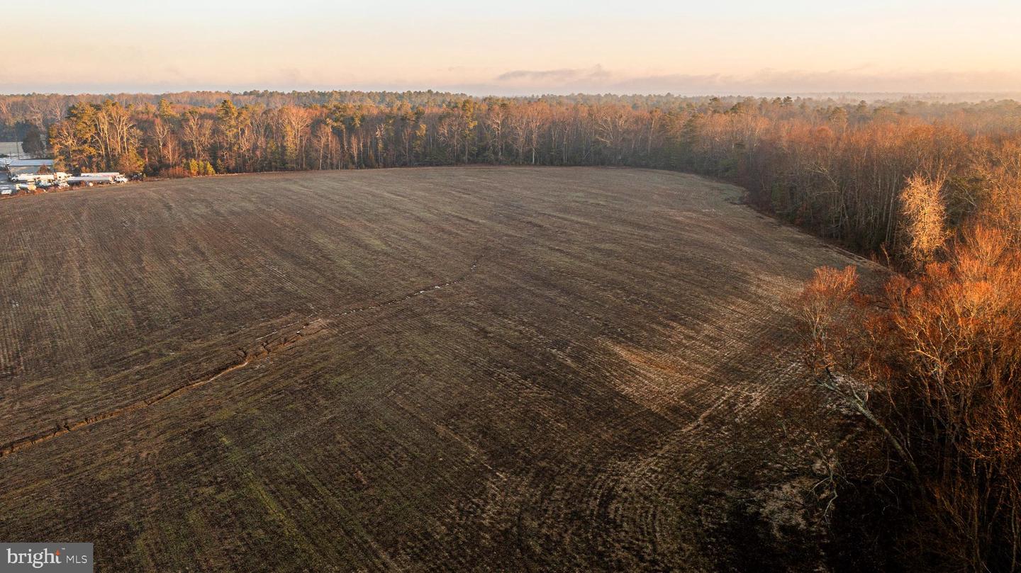 Tbd Stoney Knoll Rd Property Photo 15