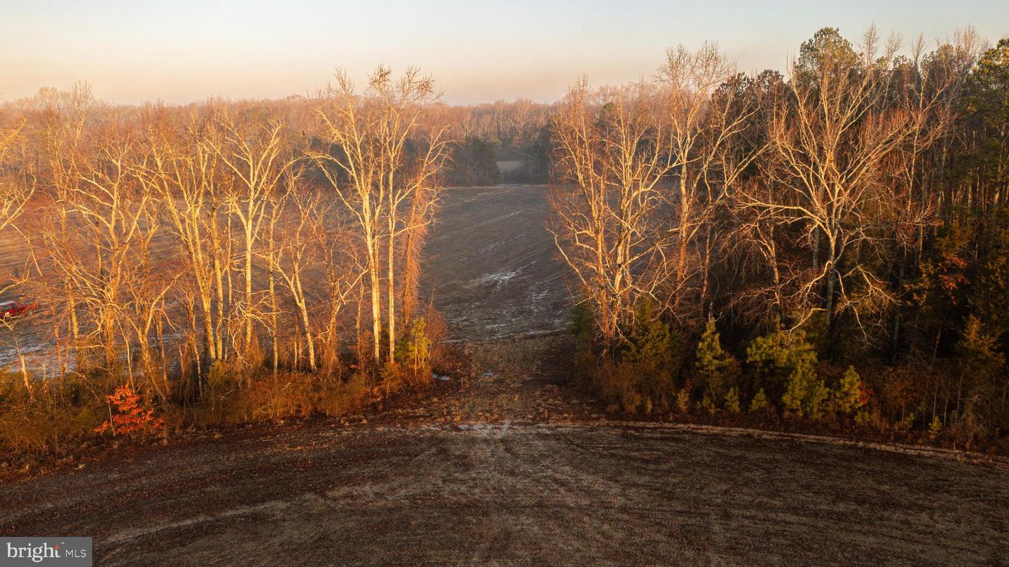 Tbd Stoney Knoll Rd Property Photo 16