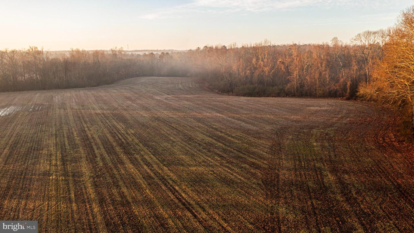Tbd Stoney Knoll Rd Property Photo 17