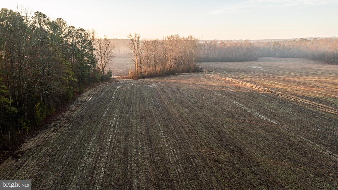 Tbd Stoney Knoll Rd Property Photo 22