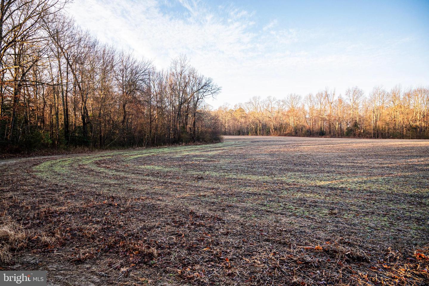 Tbd Stoney Knoll Rd Property Photo 24