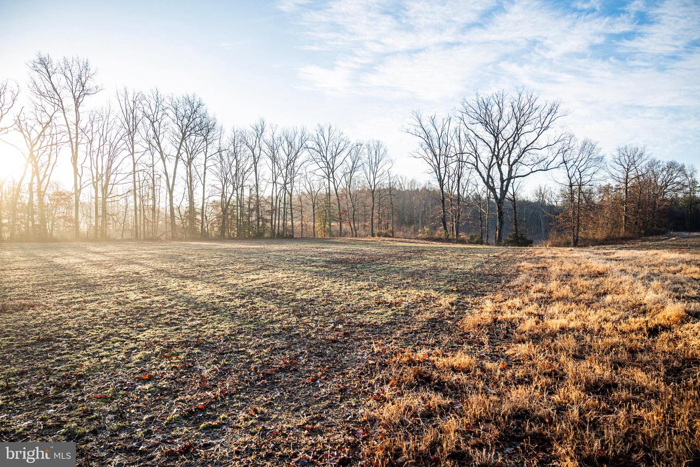 Tbd Stoney Knoll Rd Property Photo 26