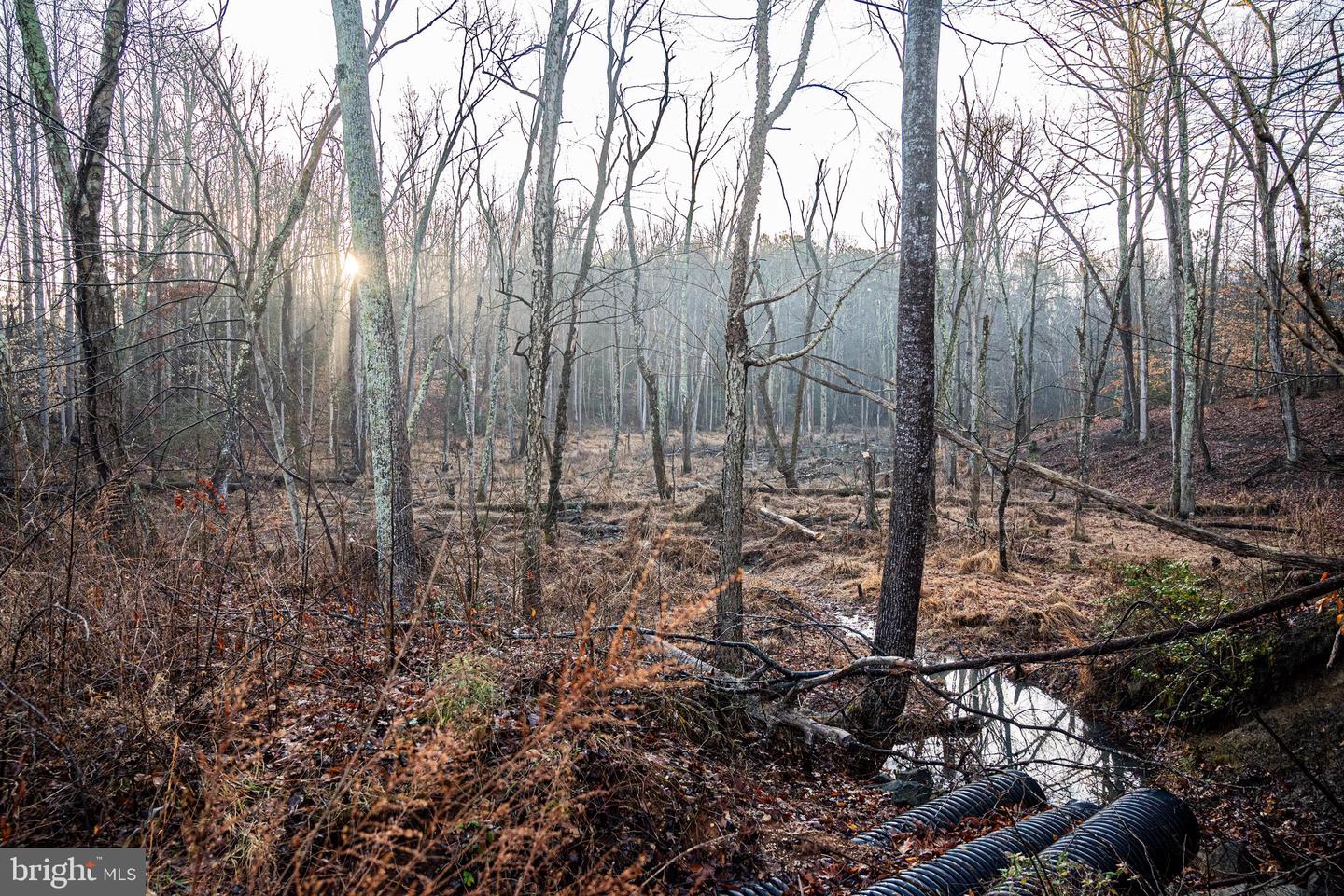 Tbd Stoney Knoll Rd Property Photo 31