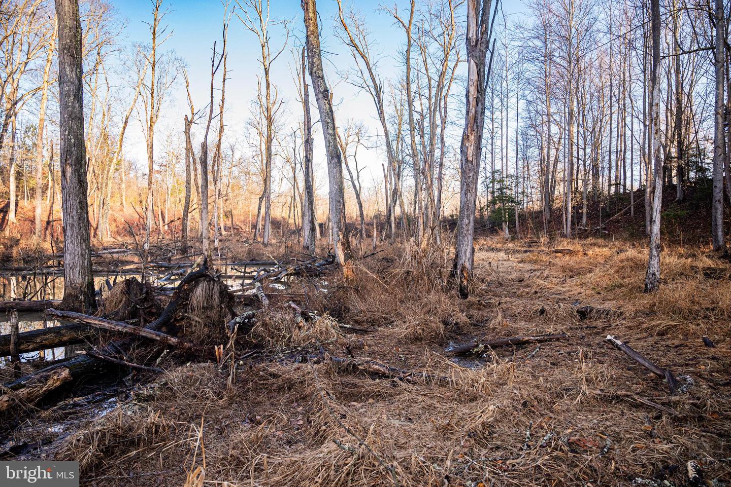 Tbd Stoney Knoll Rd Property Photo 33