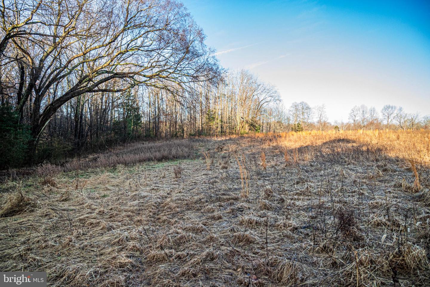 Tbd Stoney Knoll Rd Property Photo 36