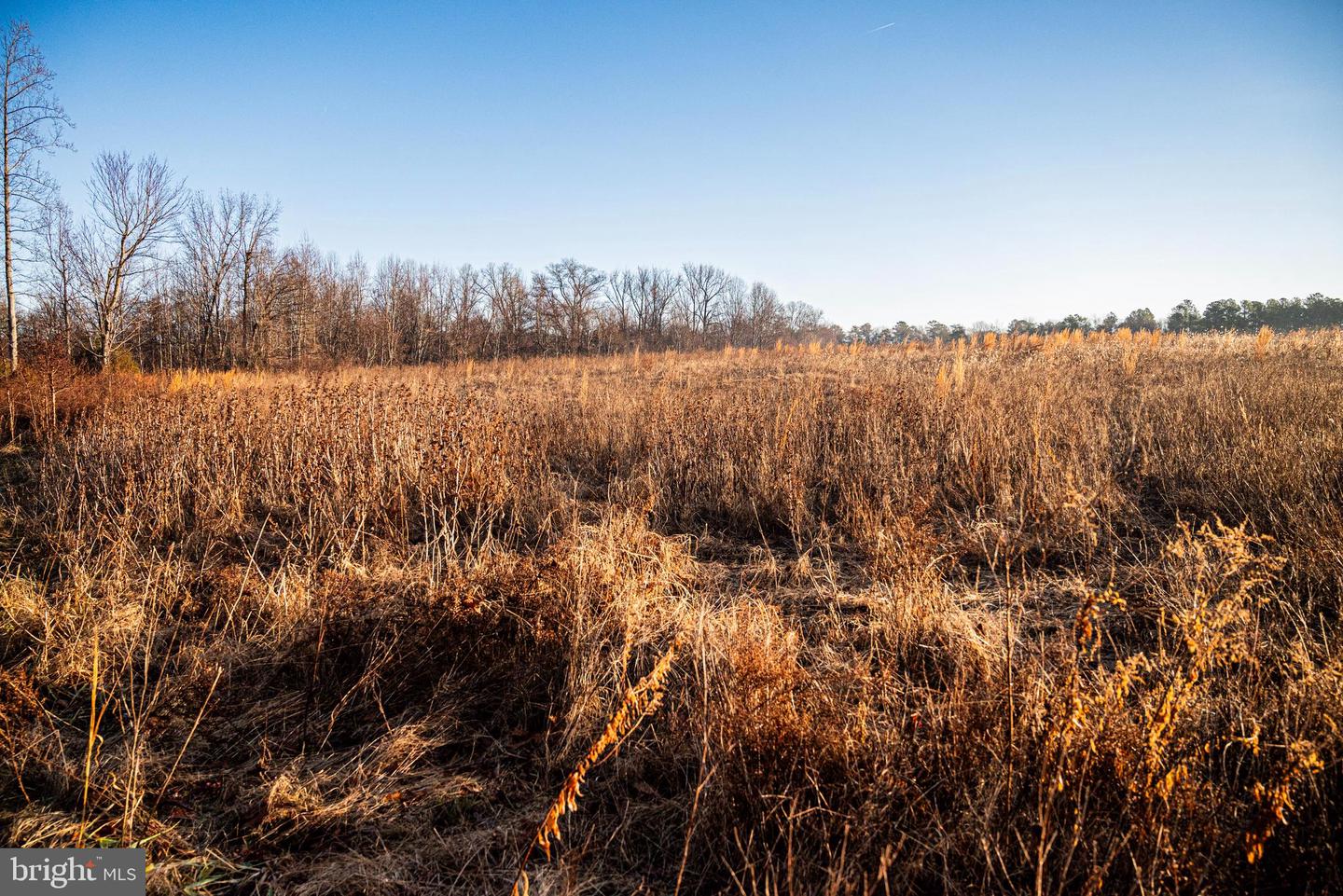 Tbd Stoney Knoll Rd Property Photo 37