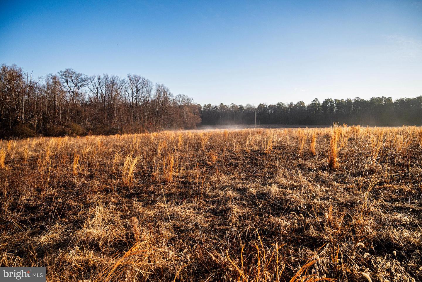 Tbd Stoney Knoll Rd Property Photo 39