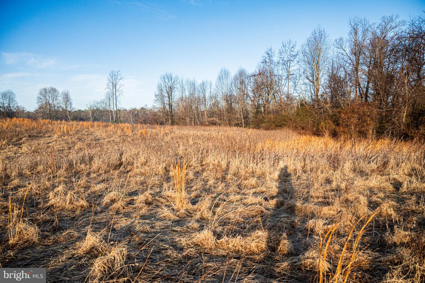 Tbd Stoney Knoll Rd Property Photo 40