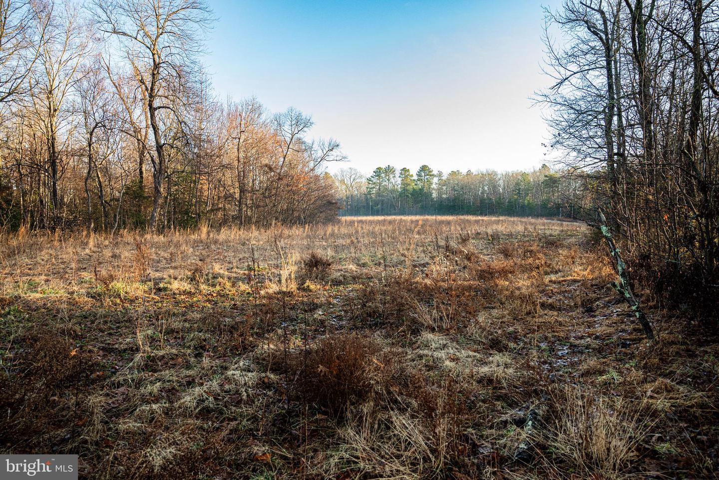 Tbd Stoney Knoll Rd Property Photo 41