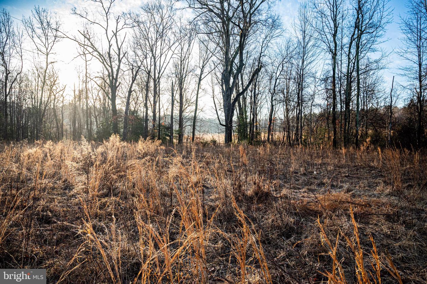 Tbd Stoney Knoll Rd Property Photo 43