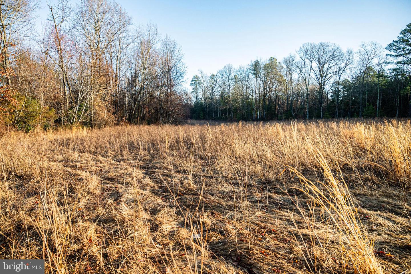 Tbd Stoney Knoll Rd Property Photo 44