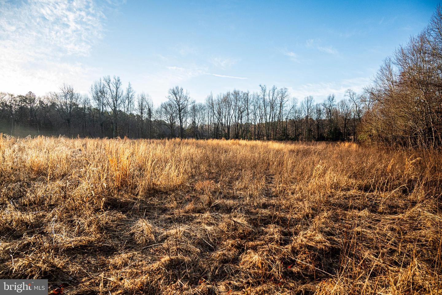 Tbd Stoney Knoll Rd Property Photo 45