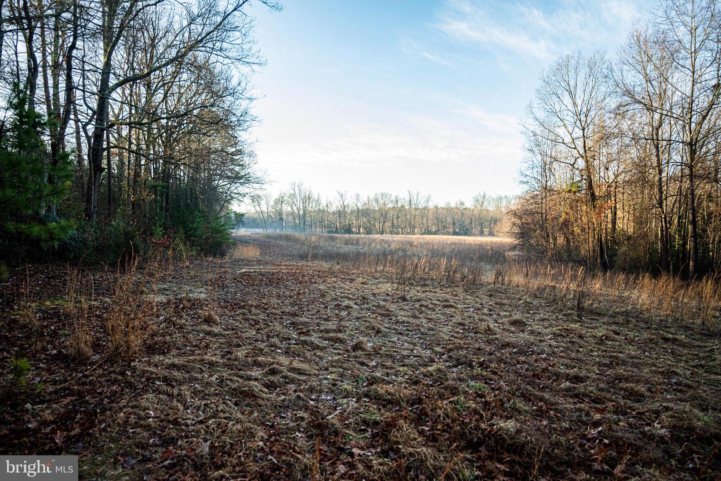 Tbd Stoney Knoll Rd Property Photo 46
