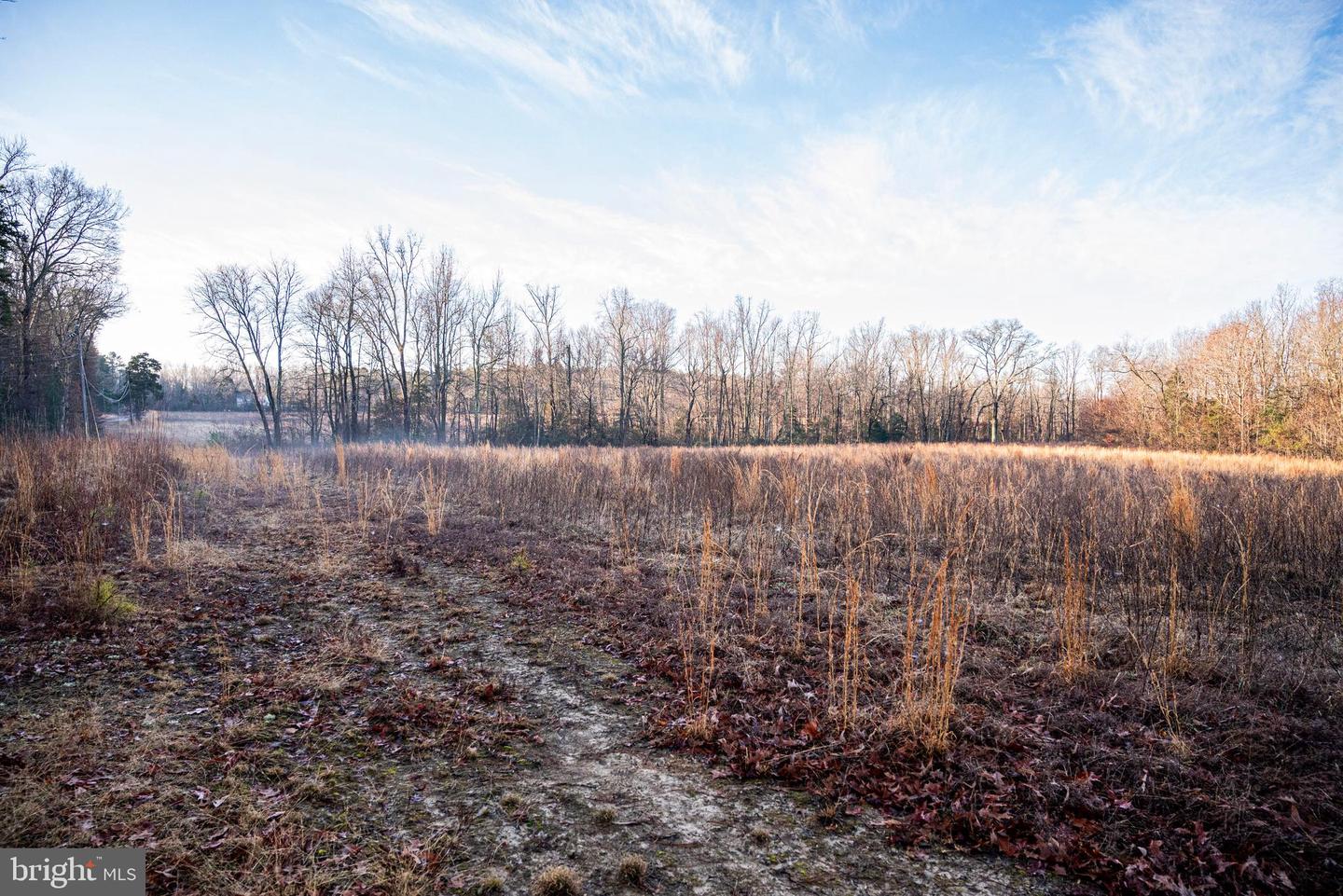 Tbd Stoney Knoll Rd Property Photo 47