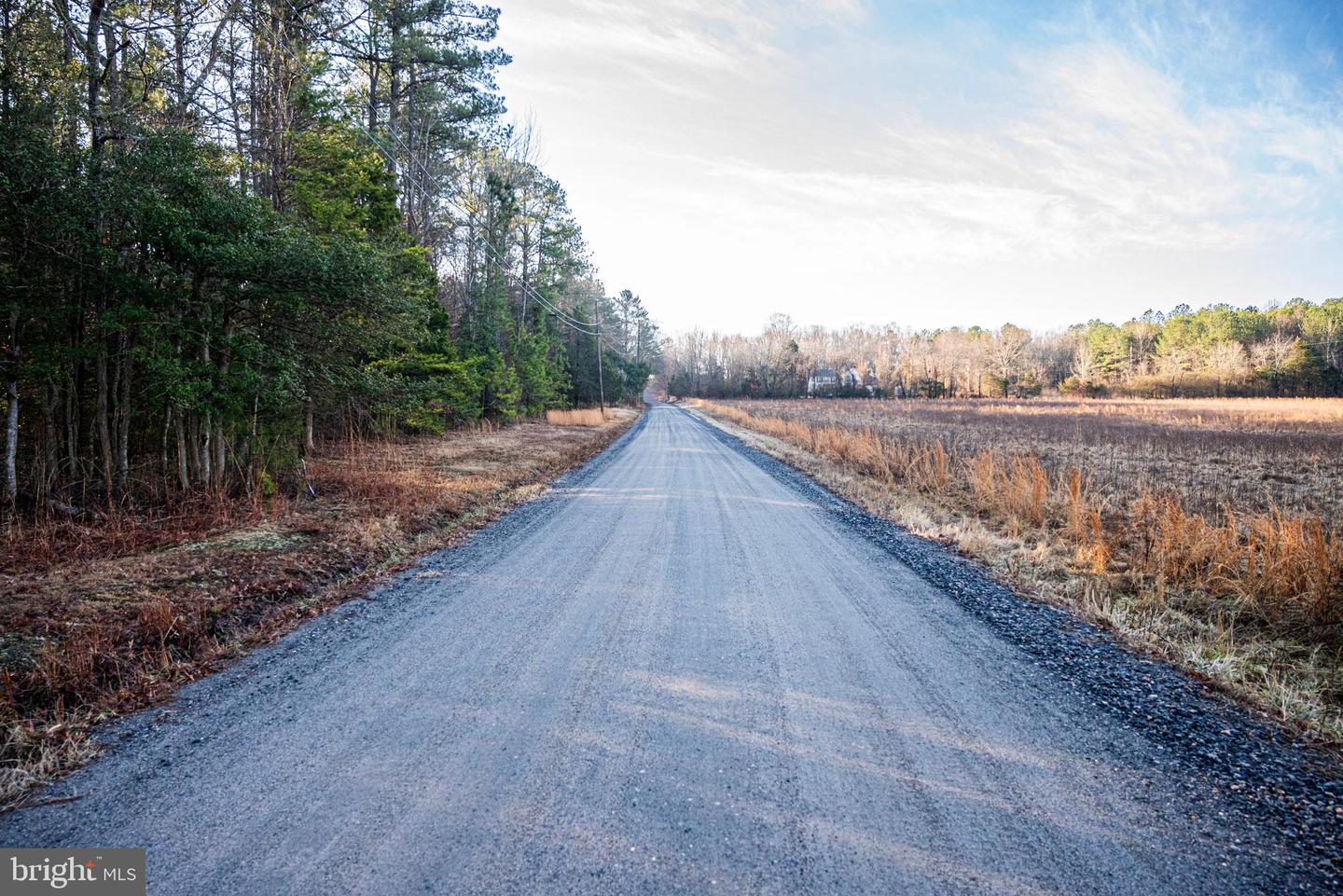 Tbd Stoney Knoll Rd Property Photo 49