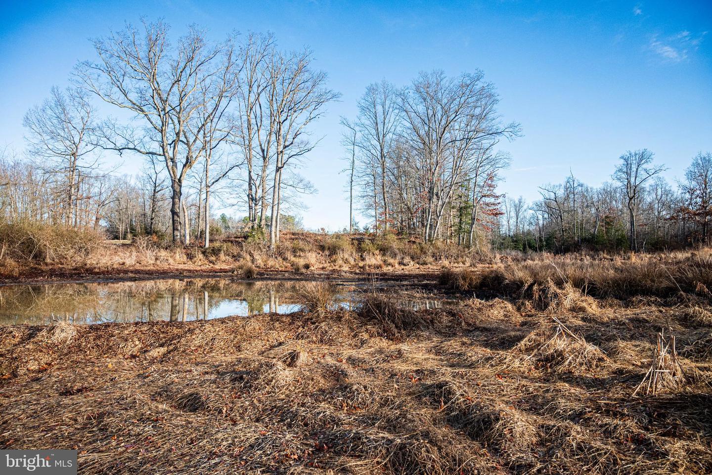 Tbd Stoney Knoll Rd Property Photo 52