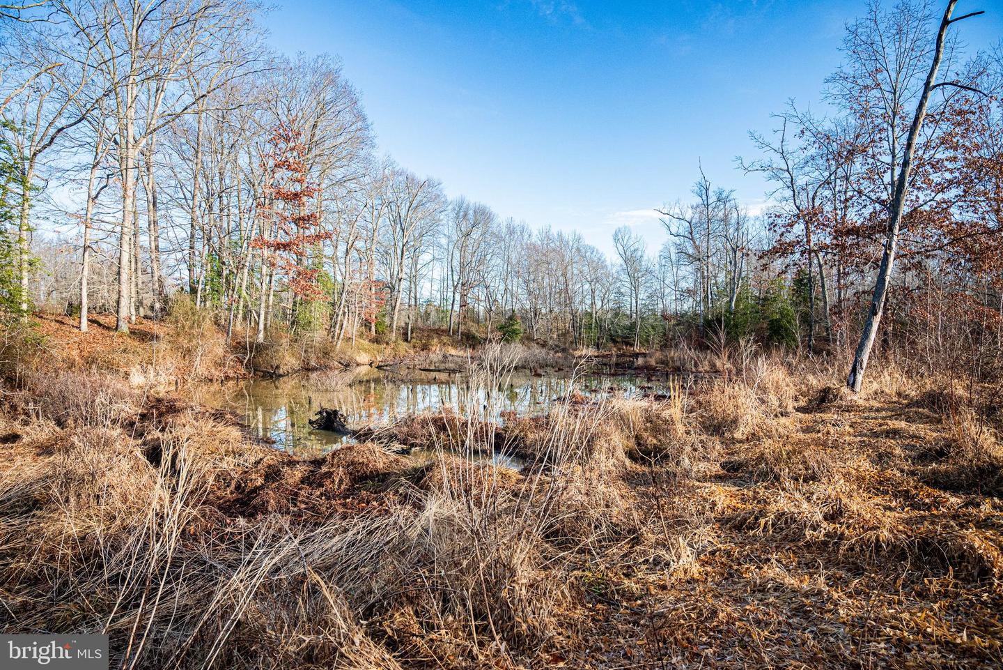 Tbd Stoney Knoll Rd Property Photo 54