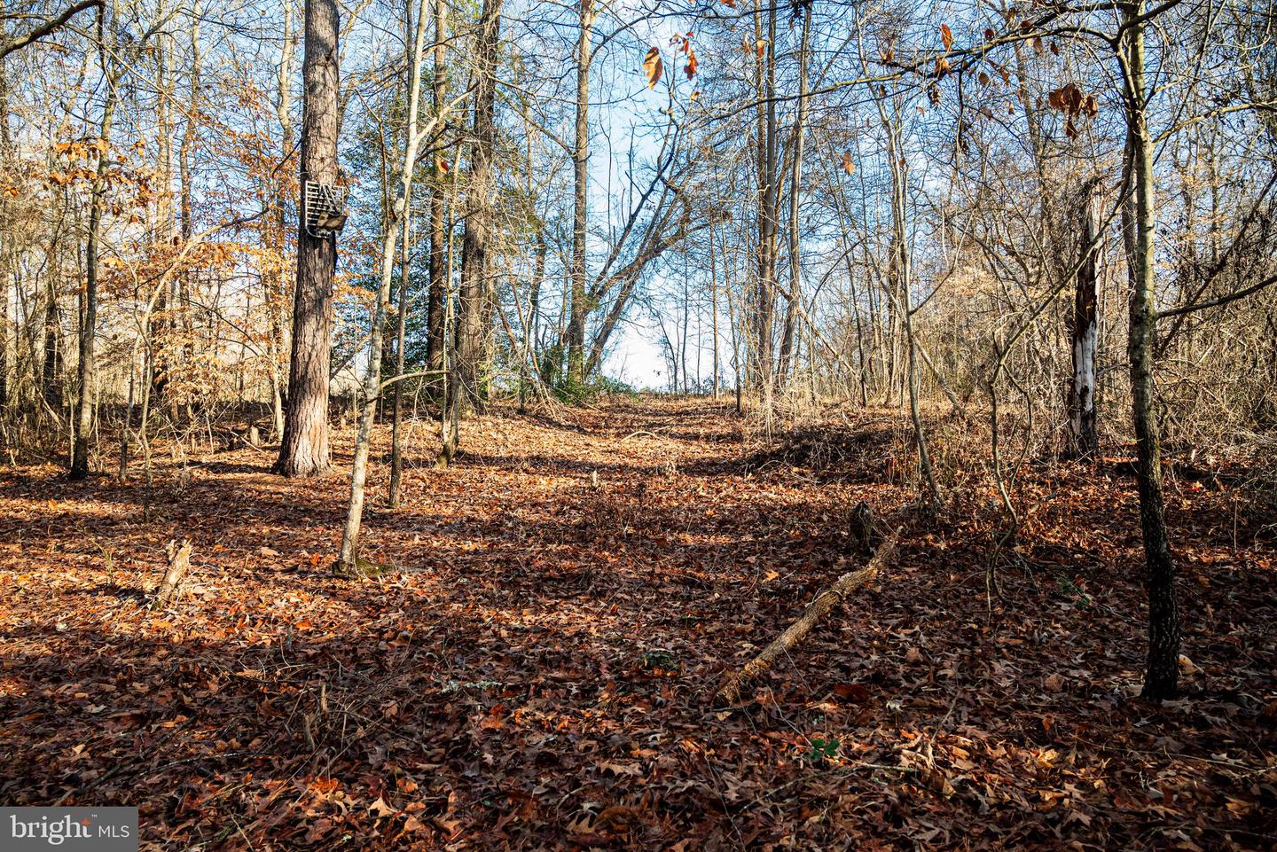 Tbd Stoney Knoll Rd Property Photo 56