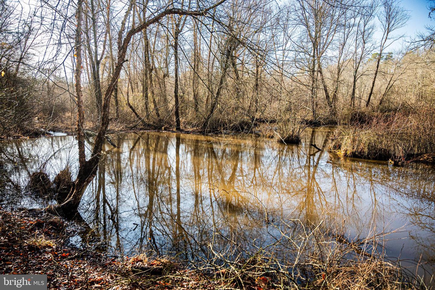 Tbd Stoney Knoll Rd Property Photo 57