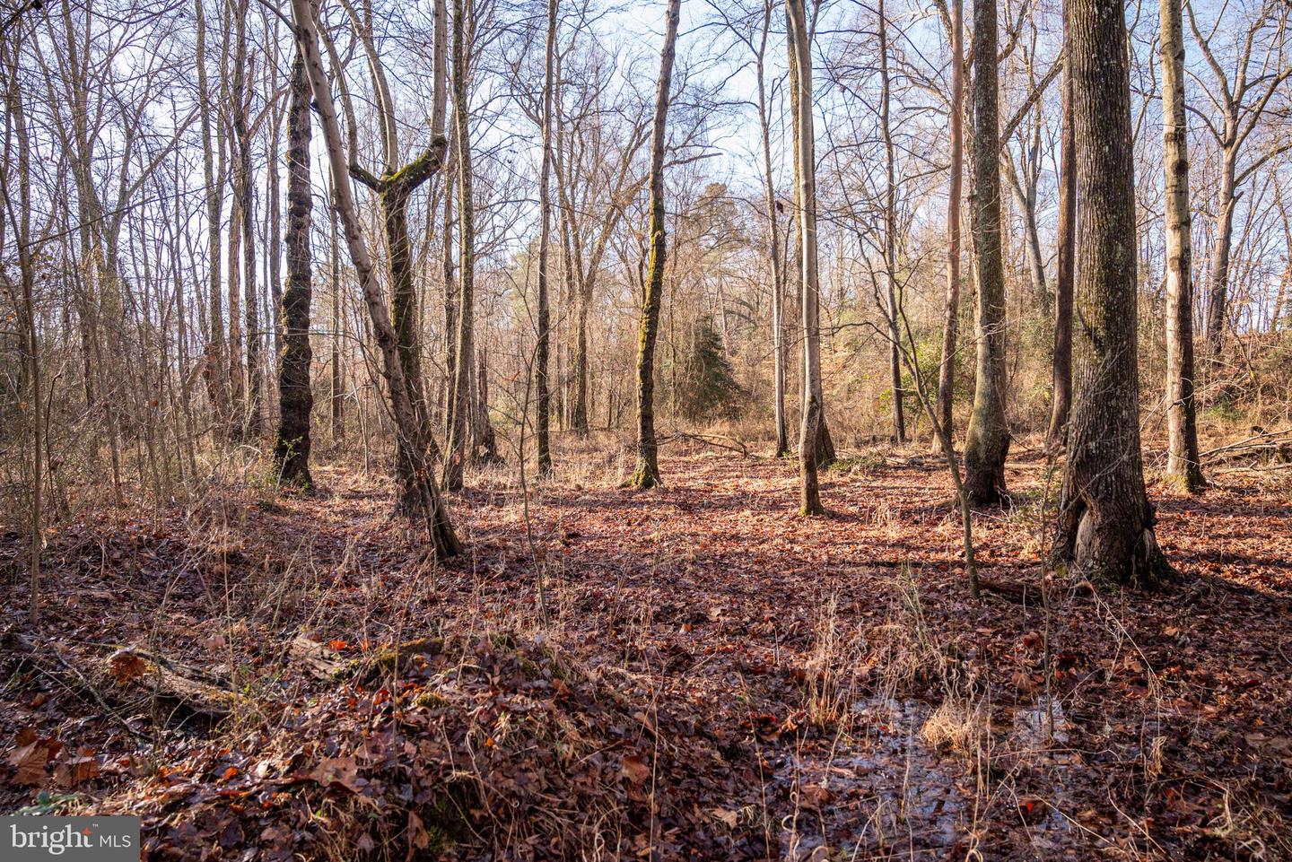 Tbd Stoney Knoll Rd Property Photo 60