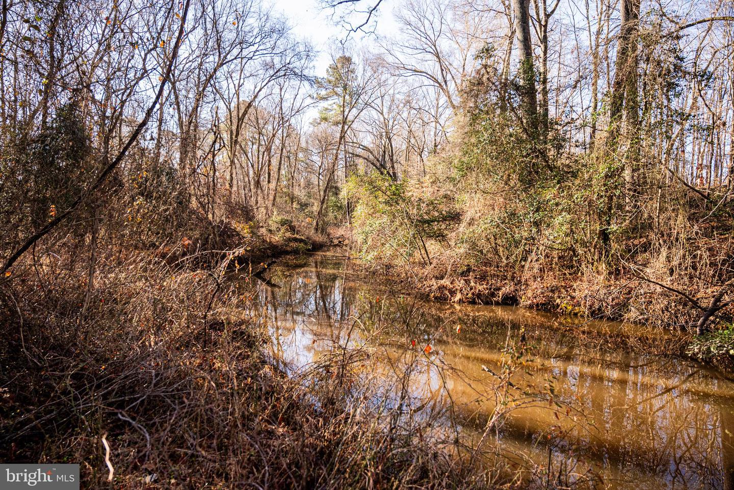 Tbd Stoney Knoll Rd Property Photo 61