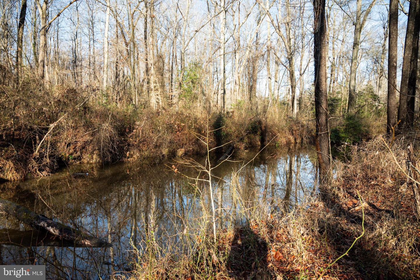Tbd Stoney Knoll Rd Property Photo 62