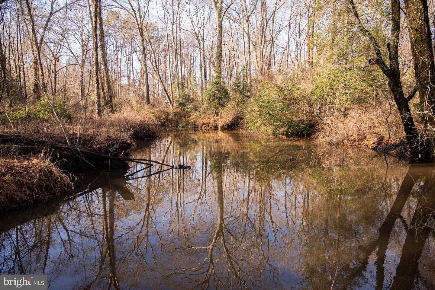 Tbd Stoney Knoll Rd Property Photo 63