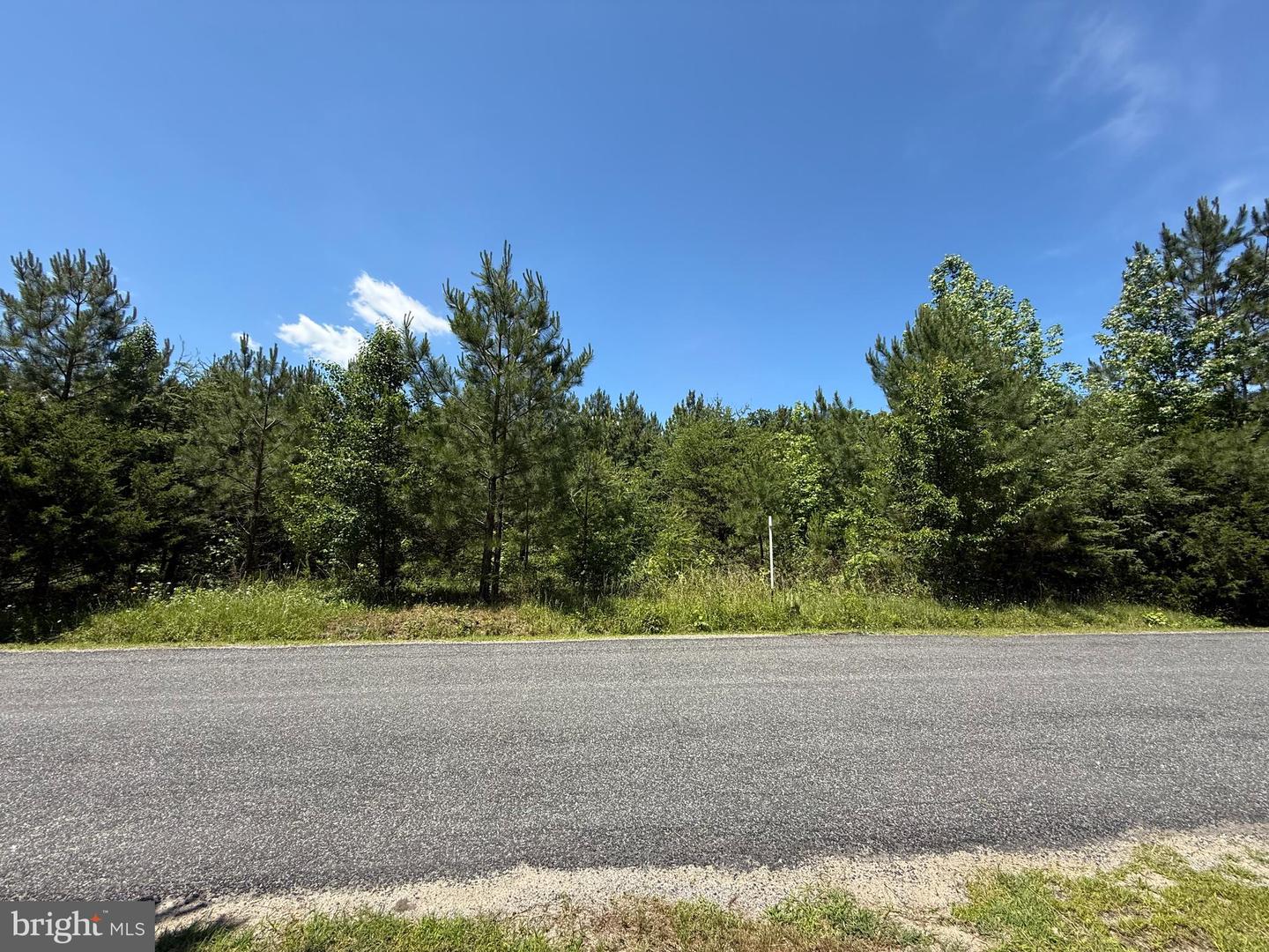 0 Oak Tree Dr Property Photo 2
