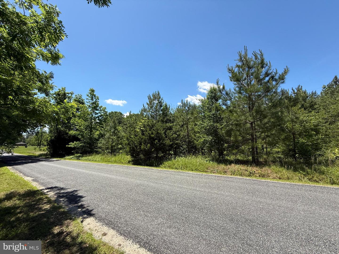 0 Oak Tree Dr Property Photo 3