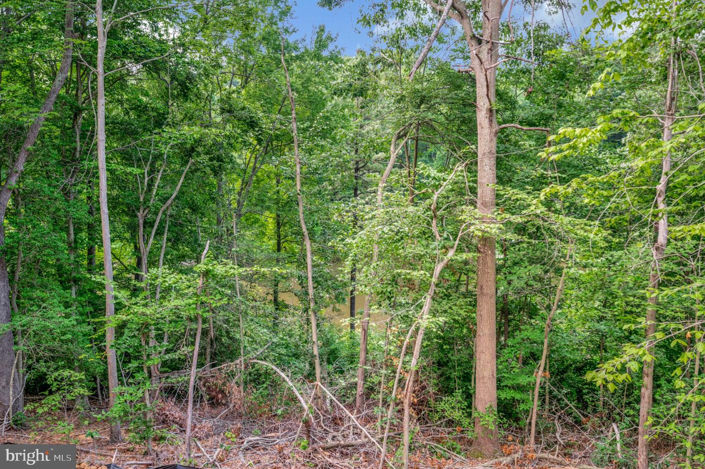 6077 Hamlin Cir Property Photo 7