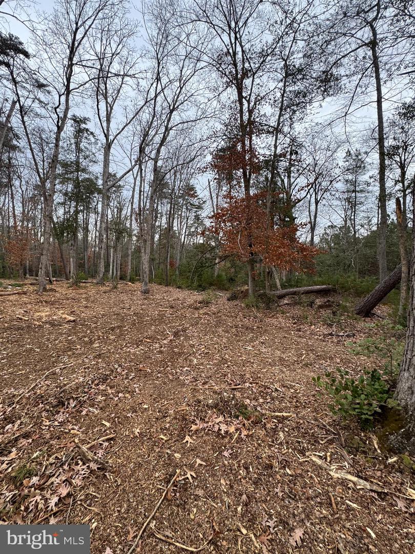 1 Seagrass Ct Property Photo 21